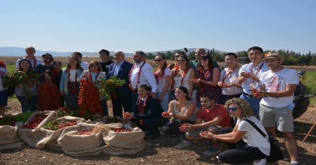 Gastronomi Festivali Biber Hasadı İle Başladı