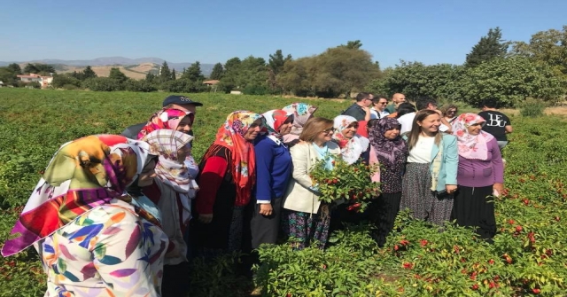 Gastronomi Festivali Biber Hasadı İle Başladı