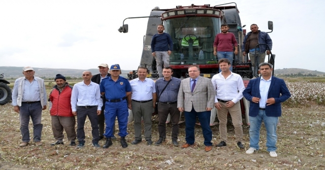 Didimde Pamuk Hasadı Başladı