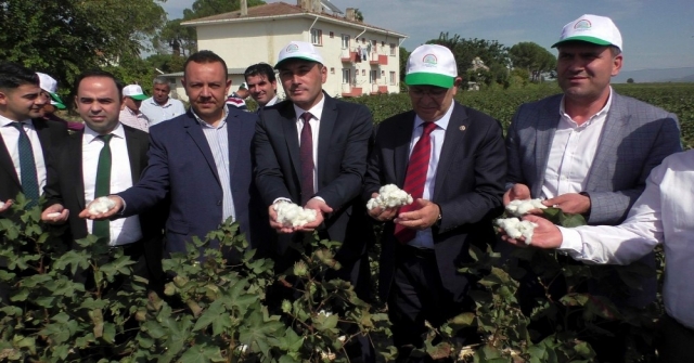 Yeni Pamuk Türlerinin Tanıtımı Dualarla Yapıldı