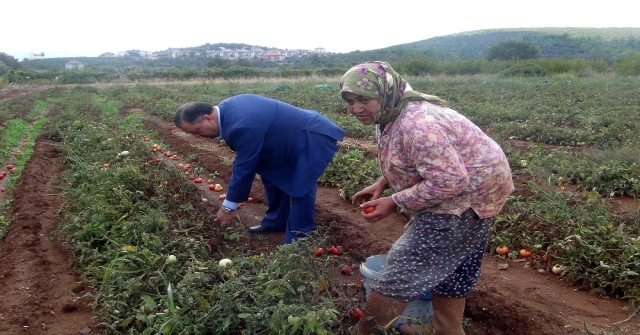 Baştuğ: “Yağışlar Üretici Açısından İyi”