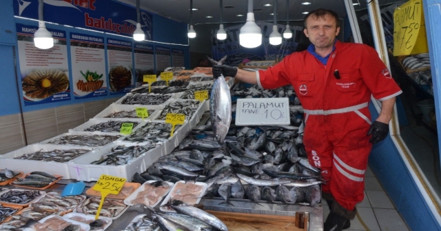 Tezgahlarda Balık Bolluğu