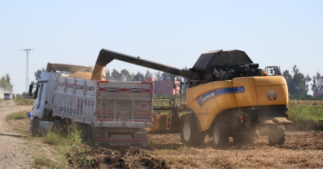 Adana Soya Üretiminde Türkiye Birincisi