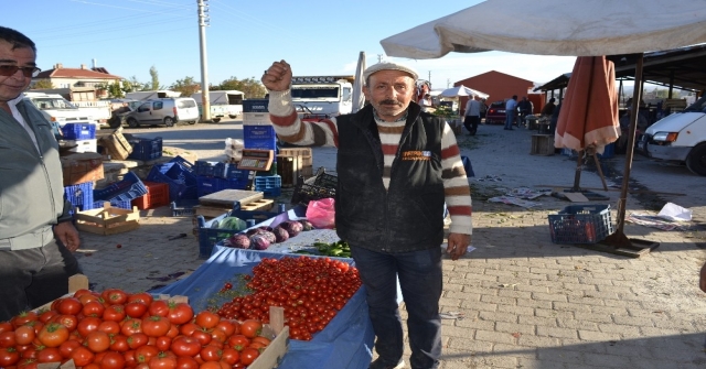 Domatesi Tuta Hastalığı Vurdu