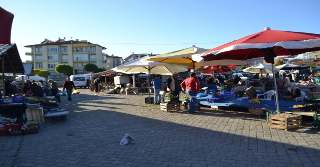 Domatesi Tuta Hastalığı Vurdu