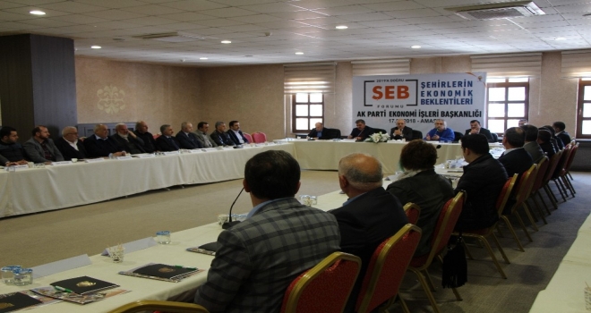 AK Parti'den Amasya'da 'Ekonomik Beklentiler' forumu