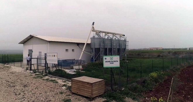 Bölgenin Organik Yemi Dicle Üniversitesinden
