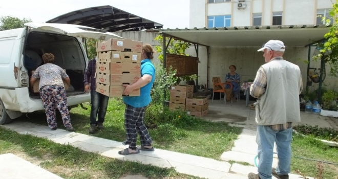 Burhaniye Türkiyenin Stevia Üretim Merkezi Oldu
