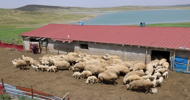 EĞER KADIN İSTERSE...