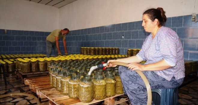 Sarıgölde Toplanan Yapraklar Sofralara Hazır