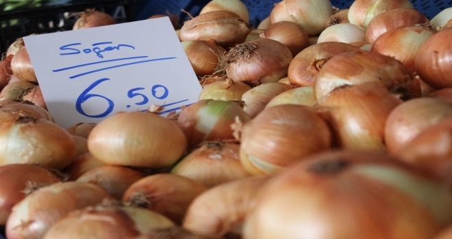 Doğu Marmara Bölgesinin Zam Şampiyonu Soğan Oldu