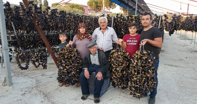 Yaşını Satamayınca Kuruttular, Şimdi Tüm Dünyaya Satıyorlar