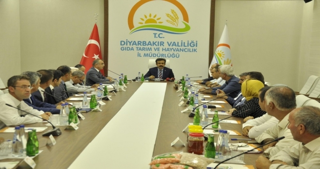 Diyarbakırda 7,3 Milyar Lira Değerinde Üretim Gerçekleşti
