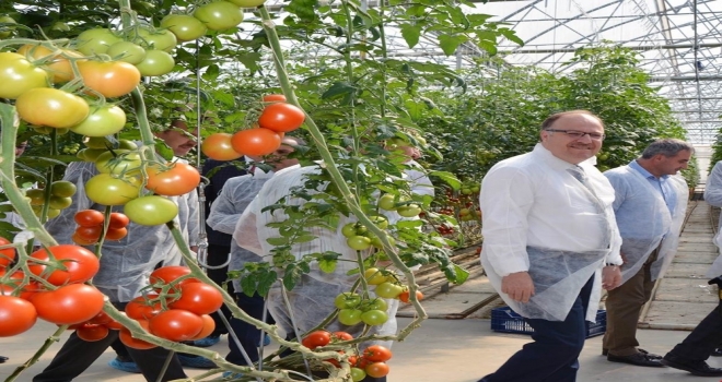 Jeotermal Seranın Açılışı Yapıldı