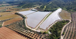 Manisada Doluya Karşı Bağların Üzerine File Kuruluyor