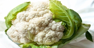 Doğu Marmaranın Zam Şampiyonu Karnabahar Oldu