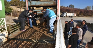 Pazarlarda Genç Çiftçi Projesi Başvuruları Başladı