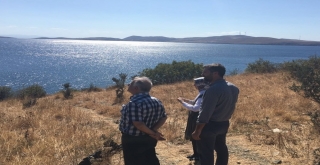 Paşalimanına Gelir Getirici Fidan Ekilecek