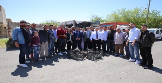 Mardinde Çiftçilere Hindi Dağıtıldı