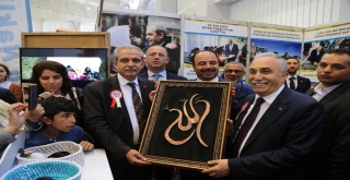 Haliliye Belediyesi İnşaat, Mobilya Ve Dekorasyon Fuarında Yerini Aldı