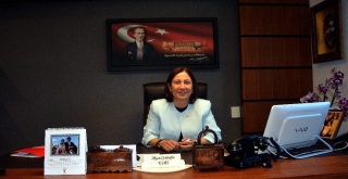 Çorum Tıbbı Aromatik Bitki Üretim Merkezi İhalesi 24 Nisanda