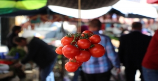 Pazarcının Gözü Çarşamba Ve Bafra Ovalarında