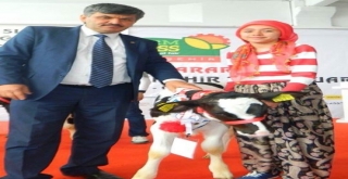 250 Bin Düve Projesi İçin Başvurular 7 Mayısa Kadar