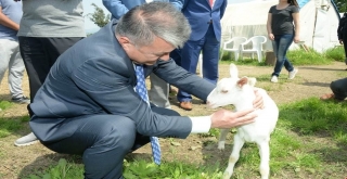 Örnek Alınacak Bir Başarı Hikâyesi