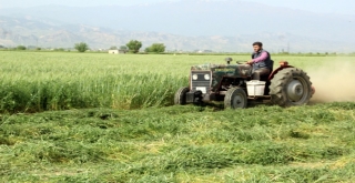 Alaşehir Belediyesinden Hayvancılığa Tam Destek