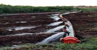 Tarımsal Elektrik Tüketimi Yüzde 260 Arttı