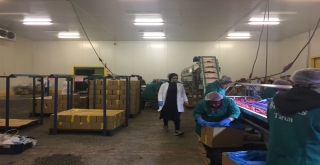 Entegre Soğuk Hava Tesisi 5 Yıl Sonra Tekrar Açıldı