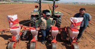 Salihli ovasında çiftçi pamuk ekimine başladı