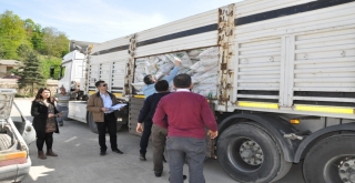 Orduda Organik Tarımda Sevindirici Gelişme