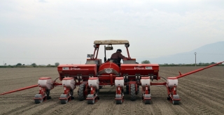 (Özel Haber) Beyaz Altın Toprakla Buluştu Üretici Destek İstedi