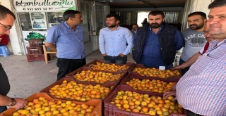 Mutta Kaliteli Kayısı Ve Erik Üreticilerle Tüccarın Yüzünü Güldürdü