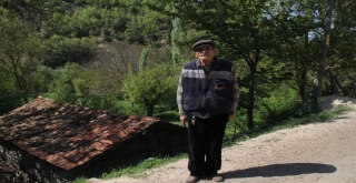 Ceviz Üreticisini Don Vurdu