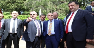 Bakan Fakıbaba Yaş Çay Taban Fiyatının Nasıl Belirlendiğini Anlattı