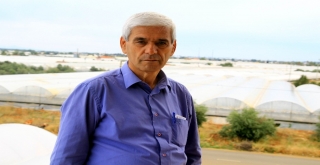 Domateste Rusya Sevincine ‘Güve Gölgesi