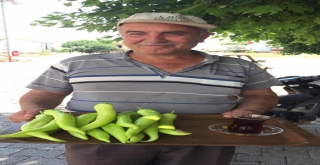 Üreticiden: 3 Kilo Bibere, 1 Bardak Çay Eleştirisi