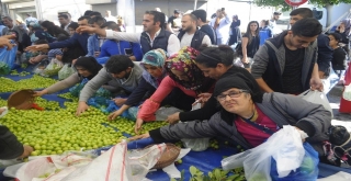 Tüm meyve ve sebzeyi bedava dağıttılar