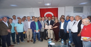 Selçuktan Şeftali Hasadı Ve İhracatı Start Aldı