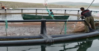 Kayserinin Denizi Yok Ama Balık İhracatı Çok