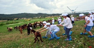 Adanada Çocuklar Tarımla Buluştu