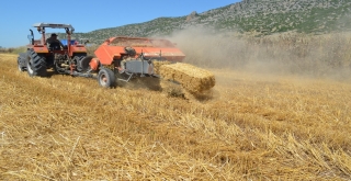 Çukurovada Saman Balyalama Mesaisi Başladı