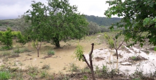 Dolu yağışı çiftçiyi vurdu