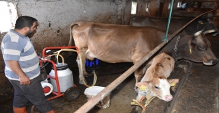 Dev Yatırım, Bingöle Aylık 60 Milyon Lira Sıcak Para Bırakacak