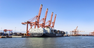 Mıp, Konteyner İşlem Hacminde Yeni Bir Rekor Kırdı