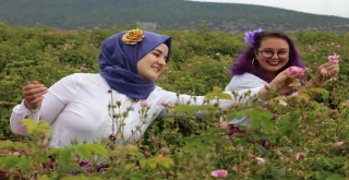 Ardıçlı Köyüne Turist Akını Devam Ediyor