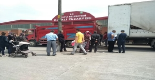 Alaplıda Genç Çiftçilere Hayvan Desteği