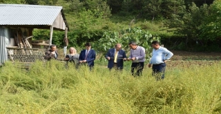 Ayancık Keten Bezi Tescillendi